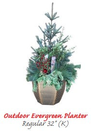 32 in. 'Regular Size' Outdoor Evergreen Planter